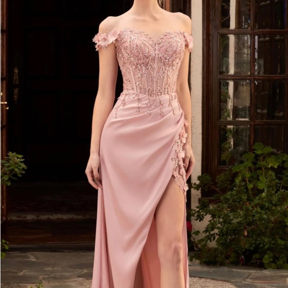 Pink embroidered gown